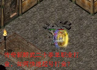 ʮְҵοŴ