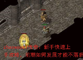 zhaowoool棺ֹֿԣǰηչܲ