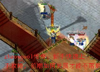 zhaowoool棺ֹֿԣǰηչܲ