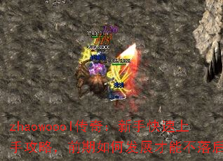 zhaowoool棺ֹֿԣǰηչܲ