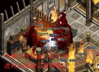 ⴫˽ֿؾЩ
