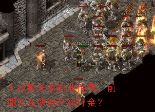 ʮ¿ְҵ棬ǰô