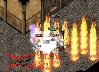 ְҵôưȫ