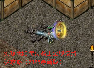 ½ʿȫռռԣ2025°棩