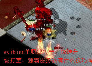weibianְҵ棺򱦣Էʲô