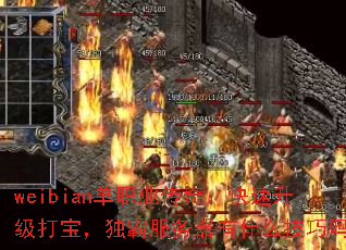 weibianְҵ棺򱦣Էʲô