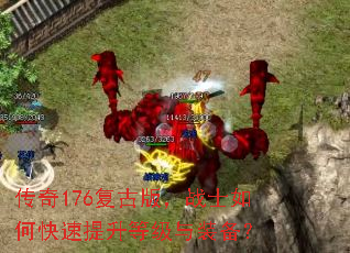 176Ű棬սʿοȼװ