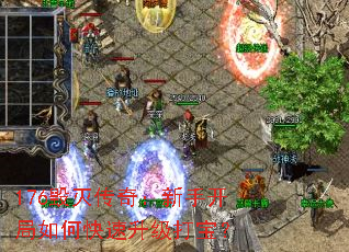 176棺ֿο򱦣