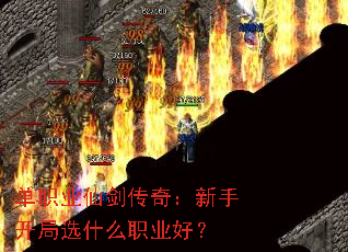 ְҵɽ棺ֿѡʲôְҵã