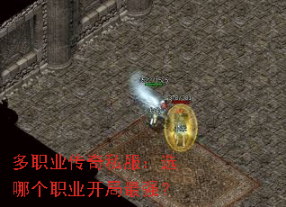 ְҵ˽ѡĸְҵǿ