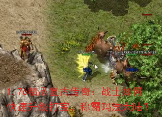 1.76ƷŴ棺սʿο򱦣ư귨½