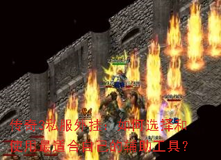 3˽ңѡʹʺԼĸߣ