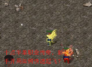 ʮ뵥ְҵ棬ֿοɣ