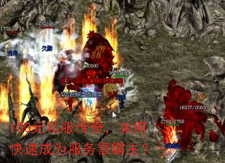 100Ԫ˽棬οٳΪ