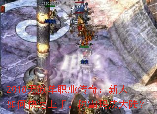 2018ⵥְҵ棺ο֣ư귨½