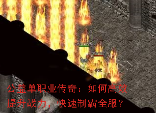 浥ְҵ棺θЧսưȫ