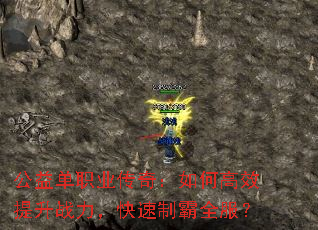 浥ְҵ棺θЧսưȫ