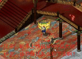 ֵܣ߾ͱ999ɱϷôȥ