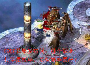 CQSF˽ĸְҵЧʣװߣ