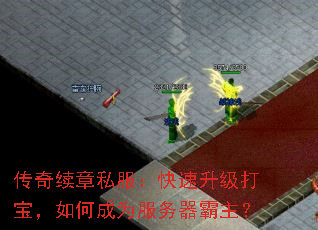 ˽򱦣γΪ