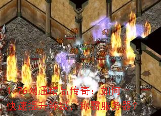 1.76ͨƷ棺οȼưԷ