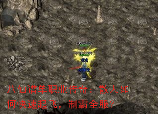 ׵ְҵ棺ɢοɣưȫ