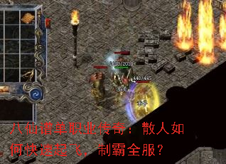 ׵ְҵ棺ɢοɣưȫ