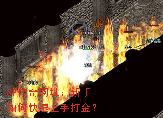 SFַοִ