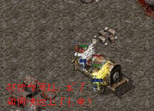 SFַοִ