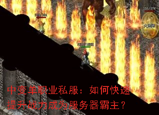 б䵥ְҵ˽οսΪ