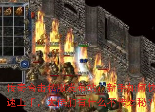 ϻ˽վο֣ʲô֮أ