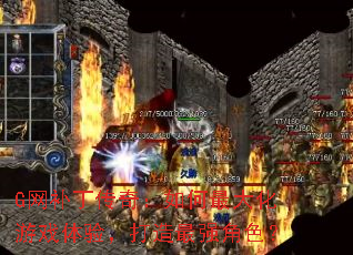 G棺Ϸ飬ǿɫ