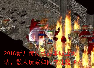 2018¿˽ְҵվɢοɣ