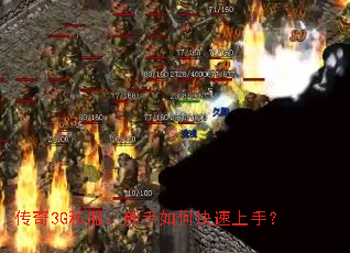 3G˽ο֣