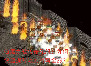 ħ֮ս˽οսưȫ