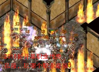 2018¿ְҵ˽ĸְҵǿ