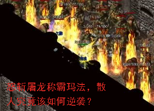 ŭնư귨ɢ˾Ϯ