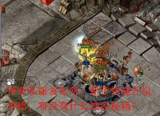 ˽ֿԣûʲôؼ