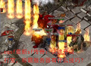 cqsfsf棺򱦣ưԷʲôɣ