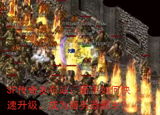 SF淢վοΪ