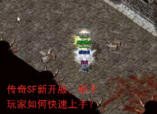 SF¿ο֣
