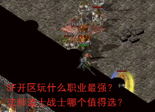 SFʲôְҵǿʦʿսʿĸֵѡ