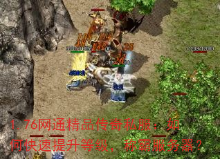 1.76ͨƷ˽οȼưԷ