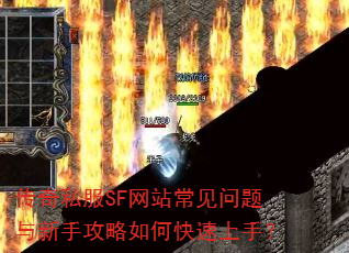 ˽SFվֹο֣