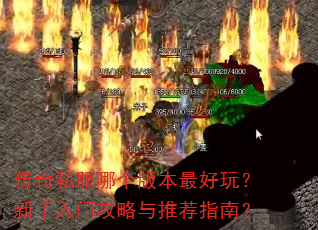 ˽ĸ汾棿ŹƼָϣ