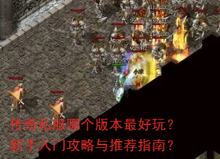 ˽ĸ汾棿ŹƼָϣ
