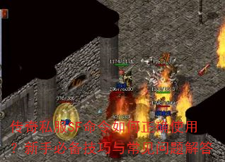 ˽SFȷʹãֱر볣