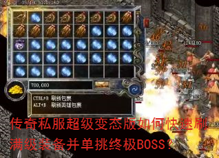 ˽̬οˢװռBOSS