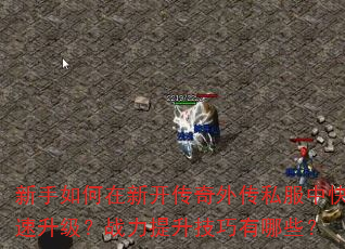 ¿⴫˽пսЩ