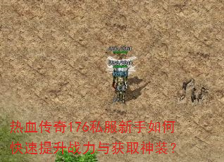 Ѫ176˽οսȡװ